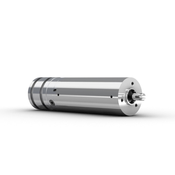 cyber® hightemp motor – 高温电机