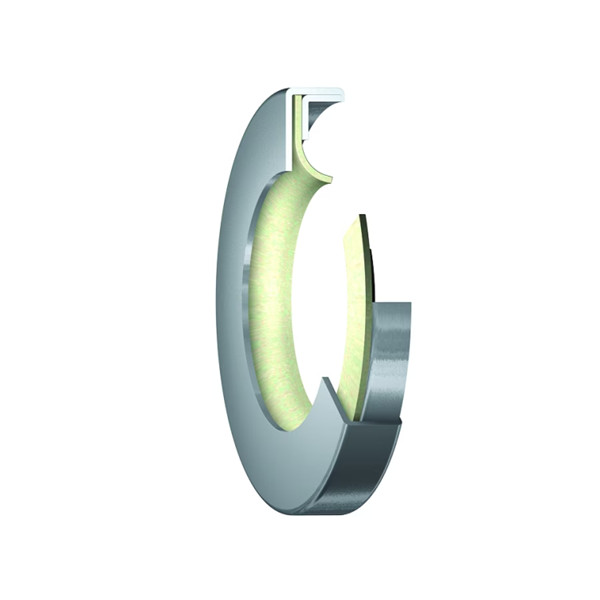 PTFE 密封件